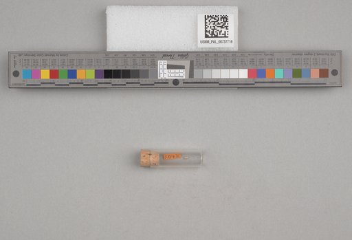 NSF ADBC EPICC TCN