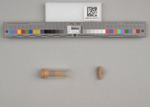 NSF ADBC EPICC TCN