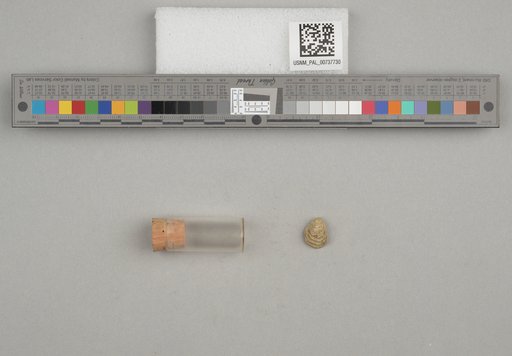 NSF ADBC EPICC TCN
