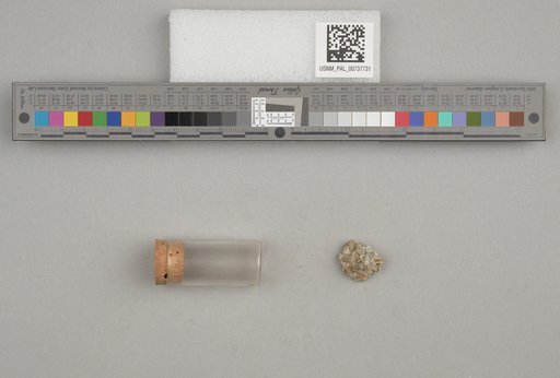 NSF ADBC EPICC TCN