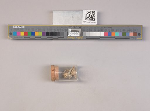 NSF ADBC EPICC TCN