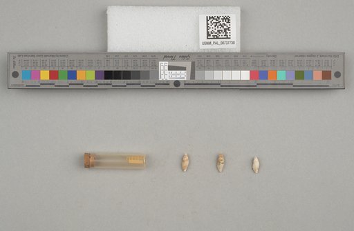 NSF ADBC EPICC TCN