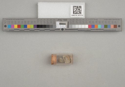 NSF ADBC EPICC TCN