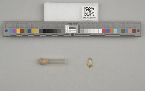 NSF ADBC EPICC TCN
