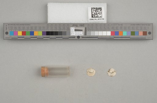 NSF ADBC EPICC TCN