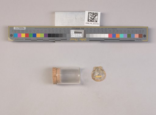 NSF ADBC EPICC TCN