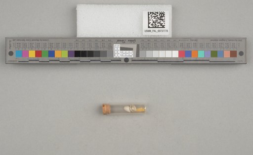 NSF ADBC EPICC TCN