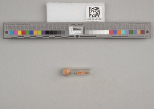 NSF ADBC EPICC TCN
