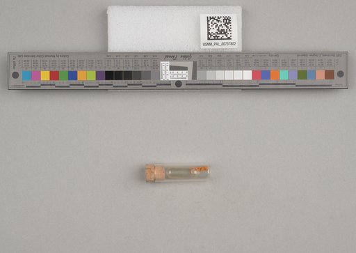 NSF ADBC EPICC TCN