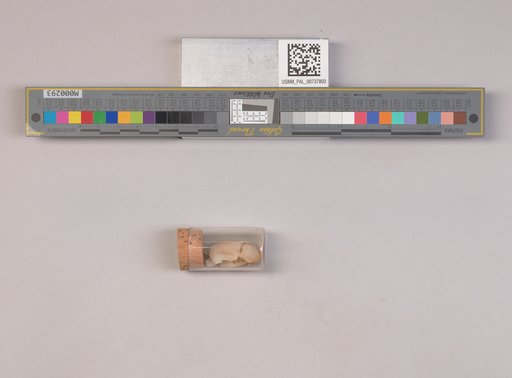 NSF ADBC EPICC TCN