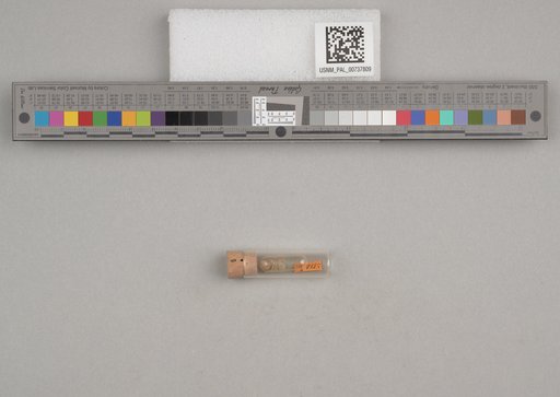 NSF ADBC EPICC TCN