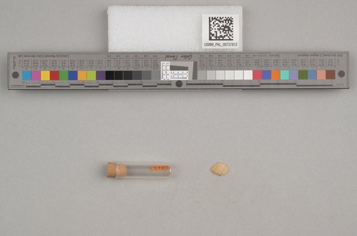 NSF ADBC EPICC TCN