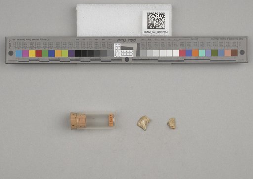 NSF ADBC EPICC TCN