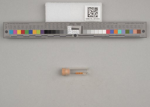 NSF ADBC EPICC TCN
