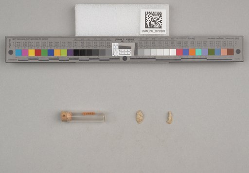 NSF ADBC EPICC TCN