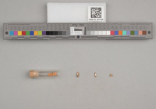 NSF ADBC EPICC TCN