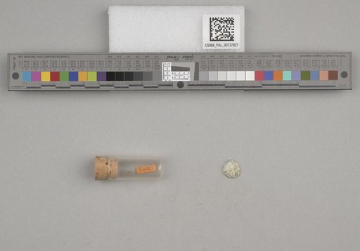 NSF ADBC EPICC TCN