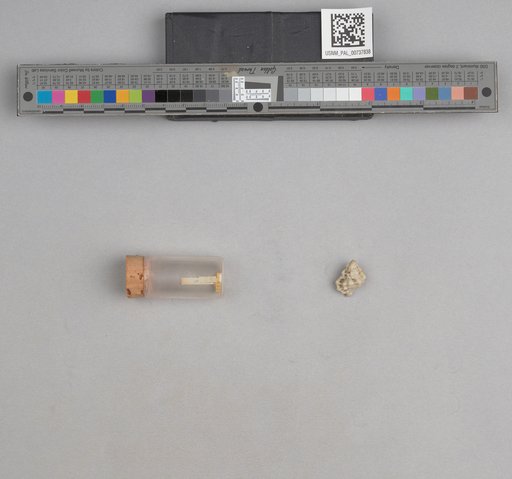 NSF ADBC EPICC TCN