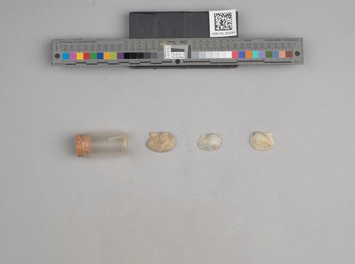 NSF ADBC EPICC TCN