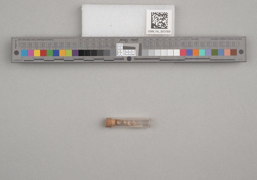 NSF ADBC EPICC TCN