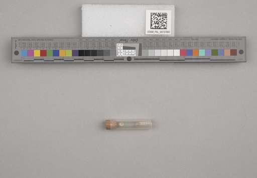 NSF ADBC EPICC TCN