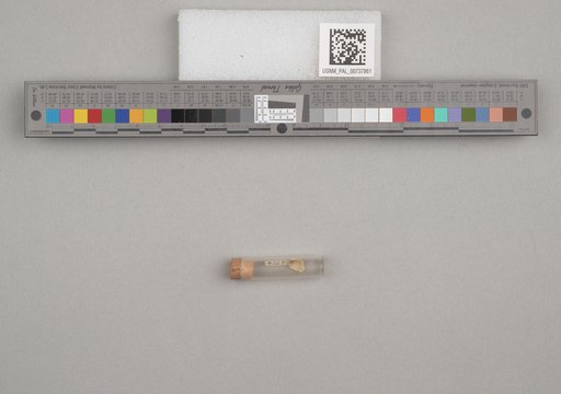 NSF ADBC EPICC TCN