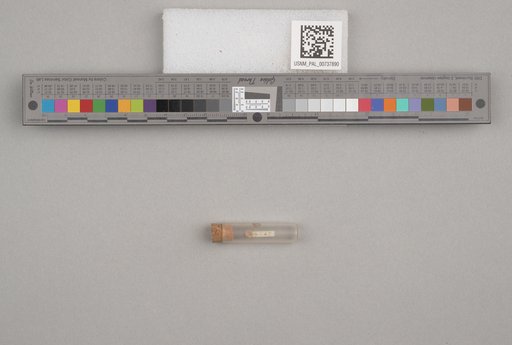 NSF ADBC EPICC TCN