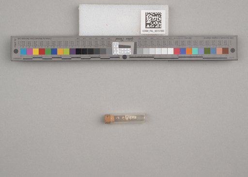 NSF ADBC EPICC TCN