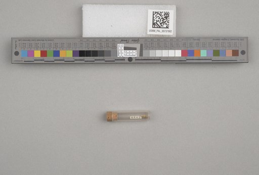 NSF ADBC EPICC TCN
