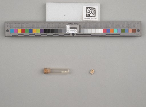 NSF ADBC EPICC TCN
