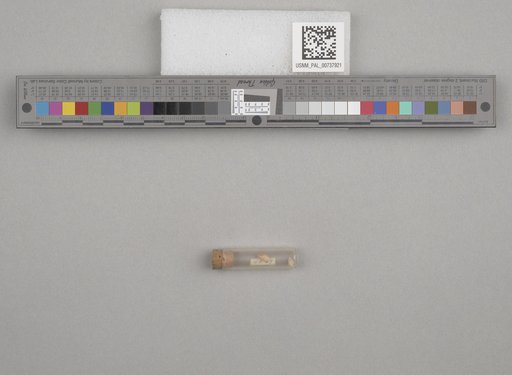 NSF ADBC EPICC TCN