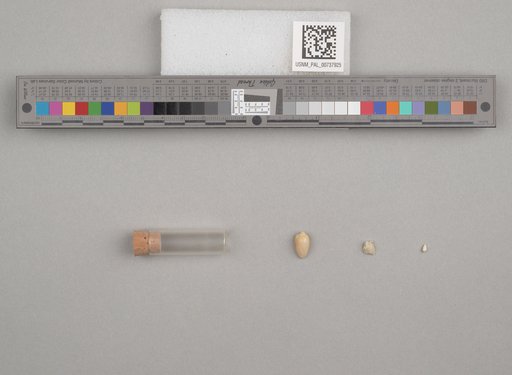 NSF ADBC EPICC TCN