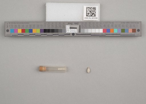 NSF ADBC EPICC TCN