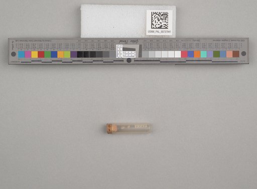 NSF ADBC EPICC TCN