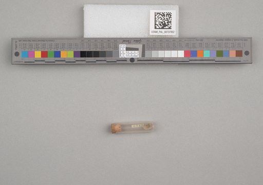 NSF ADBC EPICC TCN