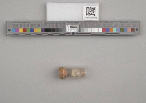 NSF ADBC EPICC TCN