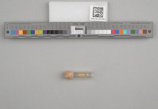 NSF ADBC EPICC TCN
