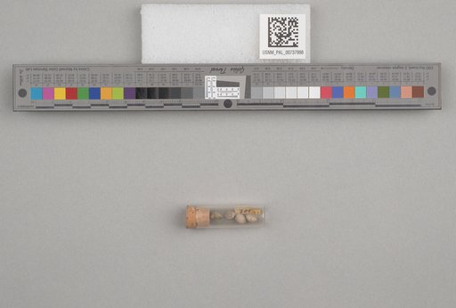 NSF ADBC EPICC TCN