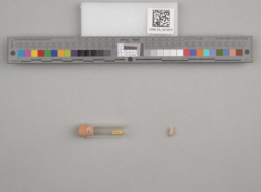 NSF ADBC EPICC TCN