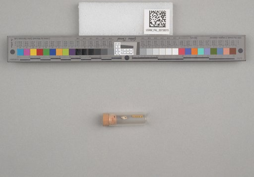 NSF ADBC EPICC TCN