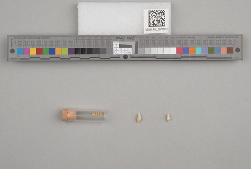 NSF ADBC EPICC TCN