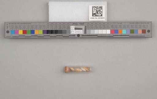 NSF ADBC EPICC TCN