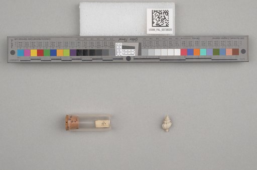 NSF ADBC EPICC TCN