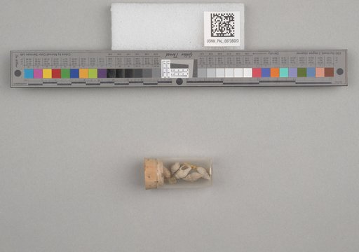 NSF ADBC EPICC TCN