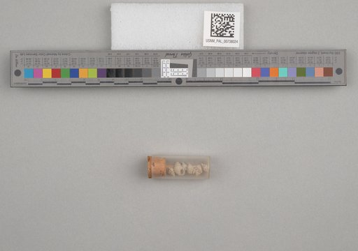 NSF ADBC EPICC TCN