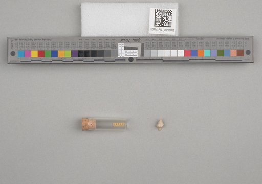 NSF ADBC EPICC TCN