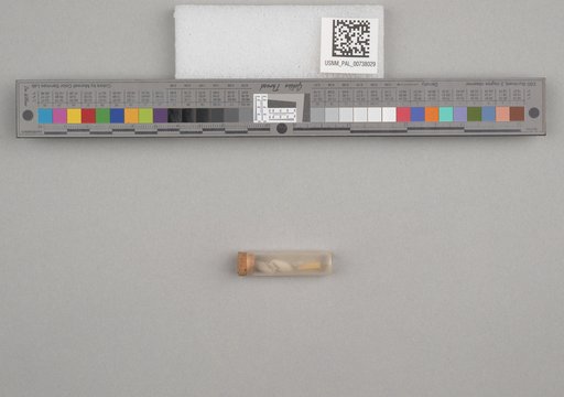 NSF ADBC EPICC TCN