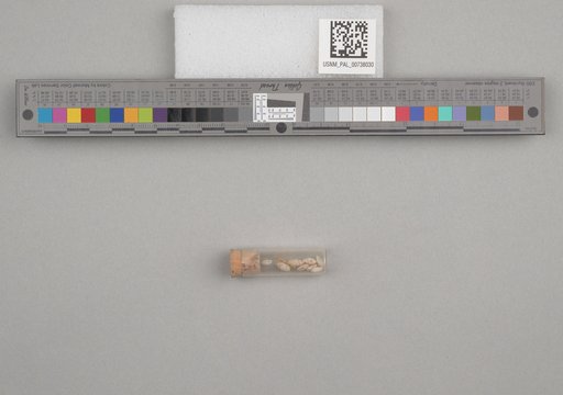 NSF ADBC EPICC TCN