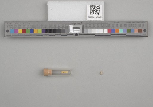 NSF ADBC EPICC TCN