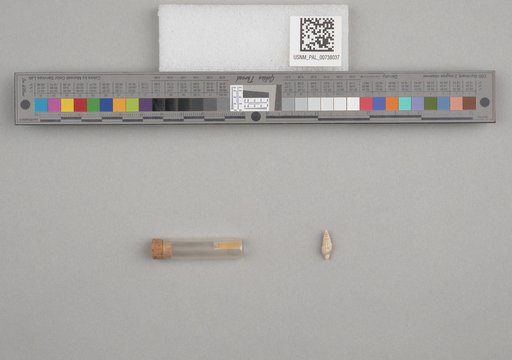 NSF ADBC EPICC TCN